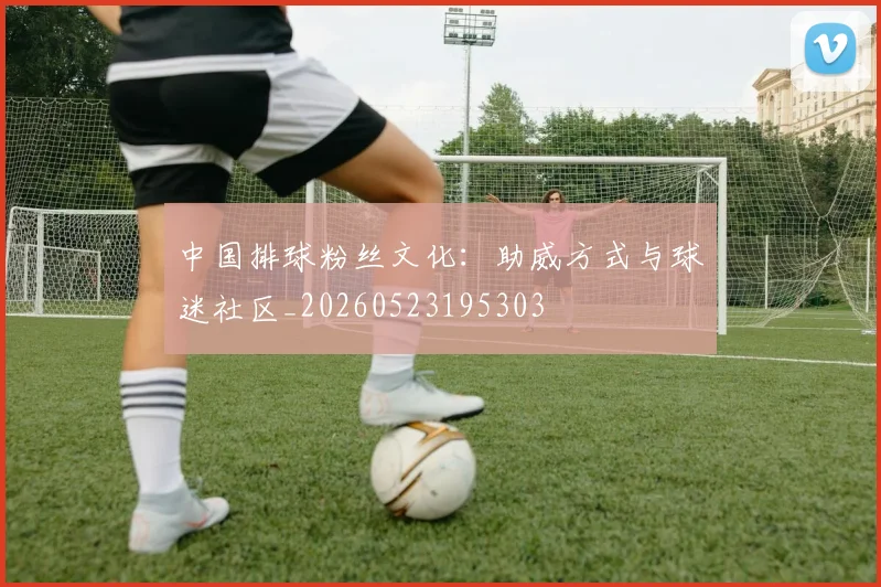 中国排球粉丝文化：助威方式与球迷社区_20260523195303