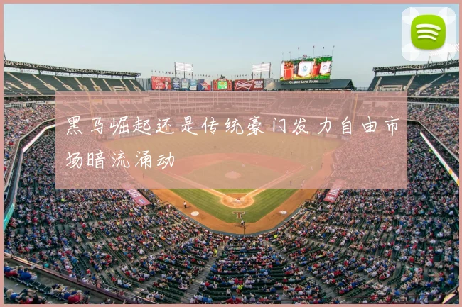 黑马崛起还是传统豪门发力自由市场暗流涌动