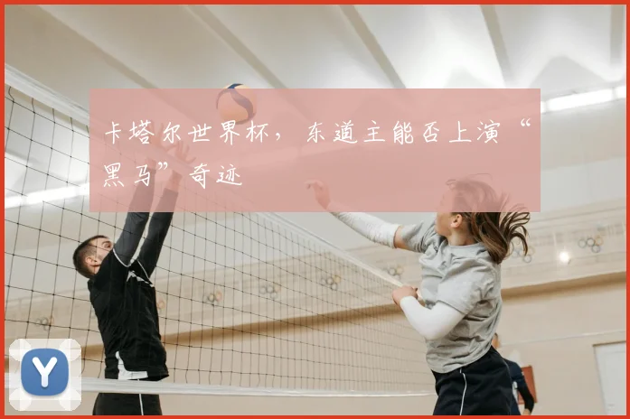 卡塔尔世界杯,东道主能否上演“黑马”奇迹