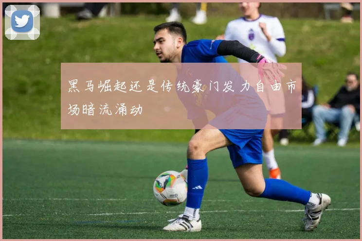 黑马崛起还是传统豪门发力自由市场暗流涌动
